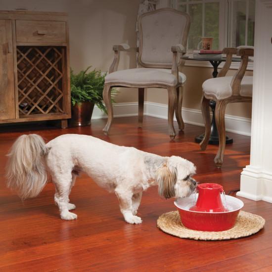 Drinkwell Avalon Pet Fountain