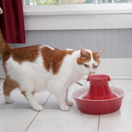 Drinkwell Avalon Pet Fountain
