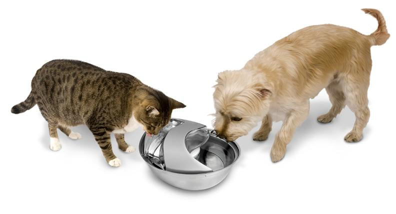 Raindrop Stainless Steel Pet Fountain