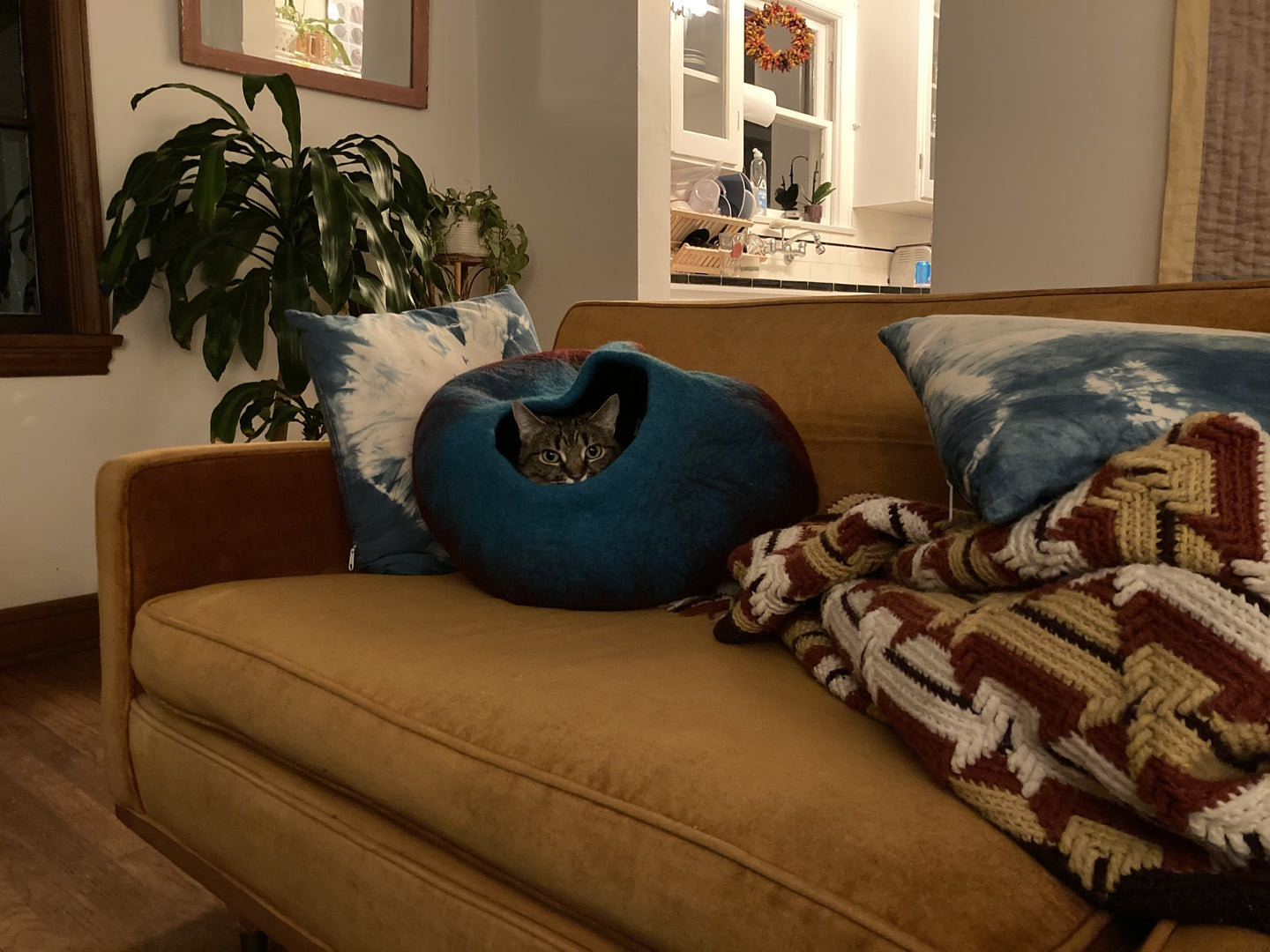 Why a Felted Wool Cat Cave Bed Is The Best Choice in Cat Beds
