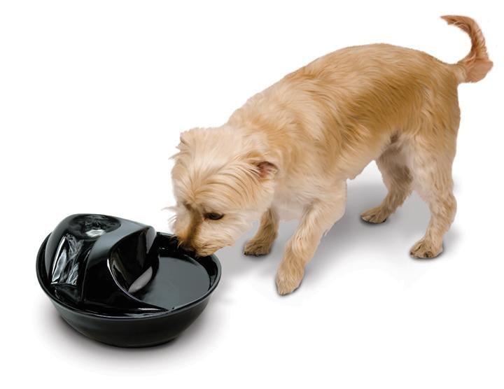 Rain Drop Ceramic Pet Fountain