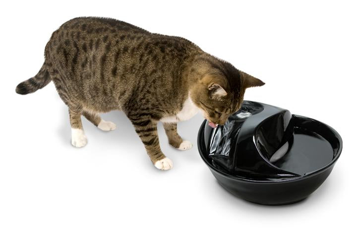 Rain Drop Ceramic Pet Fountain
