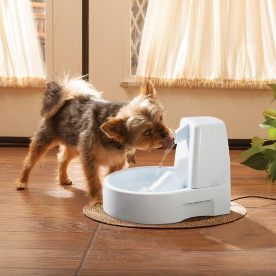 Drinkwell Original Cat Water Fountain
