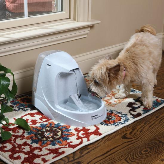 Drinkwell Platinum Pet Fountain