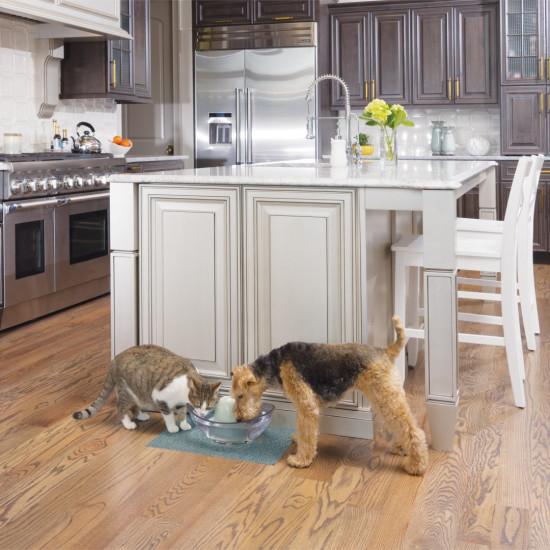 Drinkwell Sedona Pet Fountain