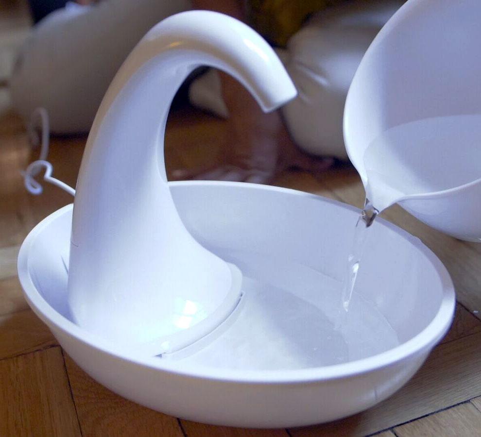 The Swan Fountain