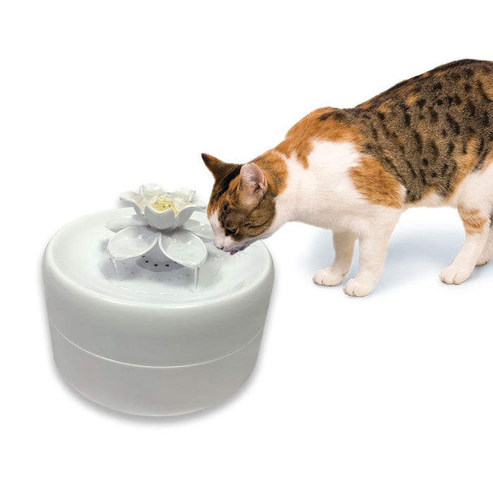 Magnolia Pet Fountain